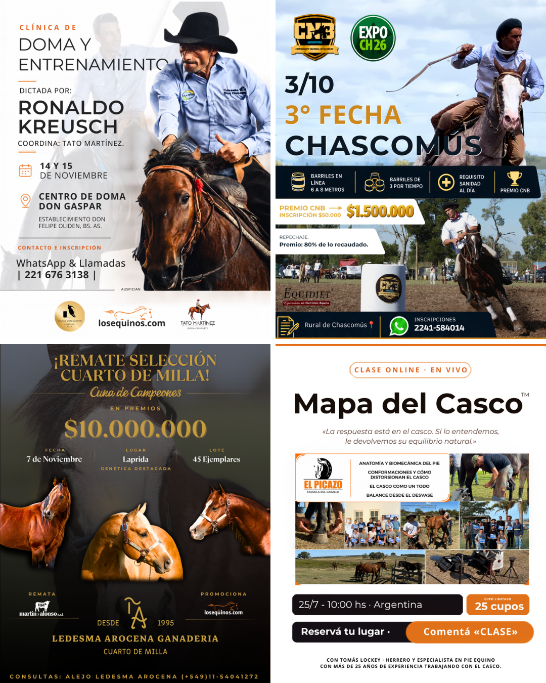 Flyers de clínicas, campeonatos, remates y cursos difundidos por losequinos